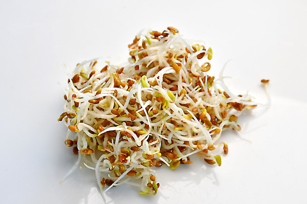 포토 JPG 해외이미지 음식 다이어트 채소 건강 요리 동양인 사람없음 초록색 새싹 중국 샐러드 신선 닫기 맛 작음 매움 비타민 저칼로리 채식주의자 맛있는 해외포토 식물 아시아 컬러 컨셉 모션 인종 크기 채식 영양소 파일형식 이미지허브