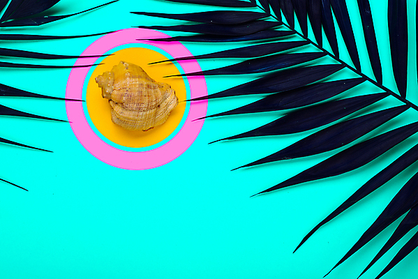 포토 JPG 해외이미지 나무 식물 라이프스타일 디자인 꽃 분홍색 여행 백그라운드 컨셉 잎 꽃무늬 패턴 탁자 휴가 미래 프레임 실험 손바닥 사람없음 컬러풀 뷰티 노란색 유행 카메라 봄 플랫 정상 열대우림 주말 위치 구성 이국적 파스텔톤 환각 히피 목업 그리너리 미니멀 해외포토 손 계절 컬러 가구 무늬 생활 전자제품 숲 증상 파일형식 트랜드컬러 이미지허브