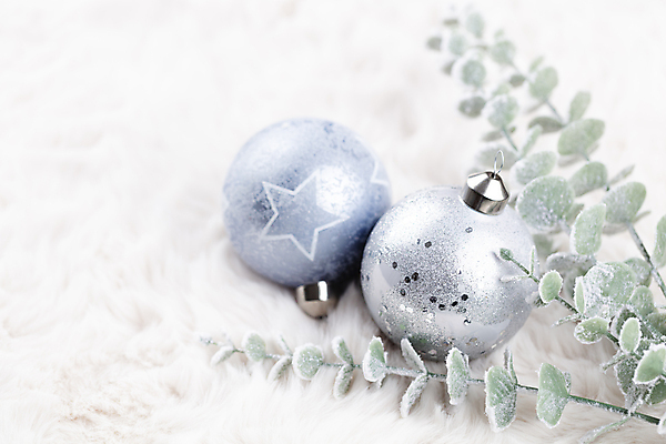 포토 JPG 해외이미지 크리스마스 크리스마스용품 실내 사람없음 두개 흰배경 유칼립투스 오너먼트 해외포토 식물 기념일 백그라운드 크리스마스장식 2 내부 흰색 용품 파일형식 이미지허브