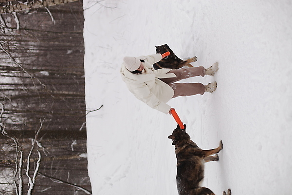 포토 JPG 해외이미지 주간 전신 여자 반려견 두마리 겨울 함께함 한명 서기 성인 야외 앞모습 반려동물 산책 눈 잡기 강아지 즐거움 겨울옷 놀기 성인여자한명만 눈덮임 해외포토 자연요소 동물 1 옷 계절 감정 뷰포인트 컨셉 2 모션 날씨 휴식 사람 개 여자한명만 성인여자만 파일형식 이미지허브