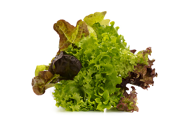 포토 JPG 해외이미지 식물 음식 백그라운드 잎 채소 재료 건강 사람없음 초록색 샐러드 흰색 신선 상추 유기농 날것 고립 채식주의자 해외포토 웰빙 컬러 채식 파일형식 이미지허브