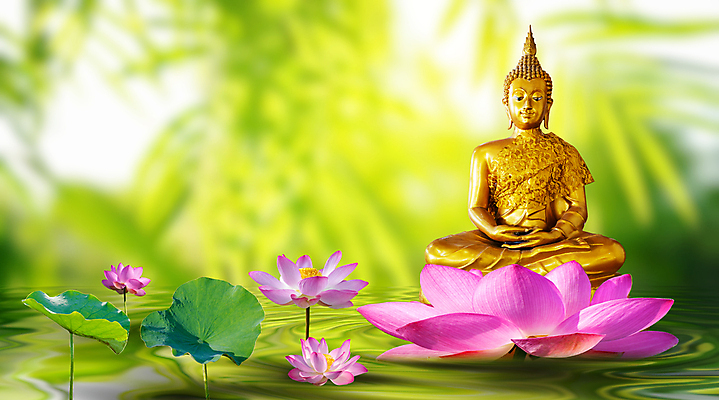 포토 JPG 해외이미지 식물 전통 꽃 실루엣 아시아 종교 문화 얼굴 선 분홍색 조각 백그라운드 잎 불교 태국 자연 미술 동양인 사람없음 초록색 물 파란색 빛 조각상 노란색 평화 흰색 사찰 황금 승려 심볼 대나무 명상 신성 숭배 해외포토 자연요소 나무 나라 컬러 컨셉 종교건축 문화예술 촬영기법 인종 신체부위 조형물 성직자 생태계 파일형식 이미지허브