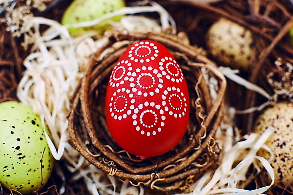 포토 JPG 해외이미지 전통 배너 꽃 분홍색 꽃다발 백그라운드 자연 탁자 휴가 사람없음 장식 초록색 컬러풀 우주 페인트 봄 수확 벚꽃 시골 축하 인사 신용카드 둥지 깃털 질감 복고 부활절계란 내추럴 메추리 옛날 파스텔톤 플랫레이 카피스페이스 해외포토 식물 계절 컬러 가구 컨셉 농업 부활절 금융 계란 공백 예절 플랫 생태계 파일형식 이미지허브