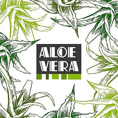 EPS 해외이미지 식물 손 디자인 선 잎 일러스트 재료 자연 선인장 잉크 건강 미술 그래픽 치료 초록색 약 검은색 주스 화장품 수확 흰색 신선 약초 스케치 허브 그림 유기농 윤곽 판화 비타민 내추럴 고립 알로에 해외일러스트 웰빙 음료 컬러 농업 의학 문화예술 신체부위 뷰티 풀_식물 생태계 영양소 파일형식 벡터 이미지허브