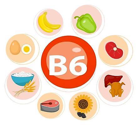 EPS 해외이미지 템플릿 디자인 잡화 포스터 음식 농업 다이어트 토마토 채소 과일 일러스트 자연 딸기 수박 감자 건강 육류 어류 요리 세트 3D 식사 여러개 당근 인포그래픽 샐러드 견과류 정보 수확 신선 달콤 어플리케이션 상품 상추 브로콜리 수집 먹기 레몬 심볼 사인 보고서 양배추 날것 모음 시금치 비타민 가넷 돌봄 신맛 채식주의자 비건 해외일러스트 산업 다수 식재료 모션 뿌리채소 수중동물 맛 보석 디지털합성 생태계 채식 영양소 파일형식 벡터 이미지허브