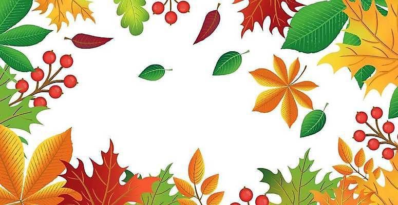 EPS 해외이미지 열매 단풍 낙엽 잎 일러스트 나뭇잎 사람없음 가을 가을배경 해외일러스트 식물 계절 백그라운드 파일형식 벡터 가을_계절 이미지허브