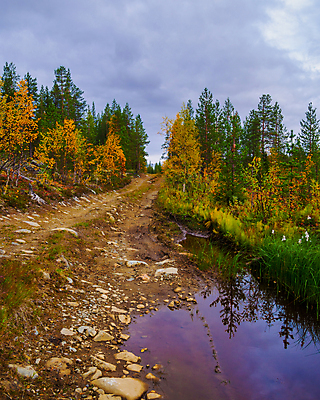 포토 JPG 해외이미지 나무 계절 공원 도로 길 여행 백그라운드 밭 자동차 자연 하늘 사람없음 야외 초록색 물 파란색 컬러풀 반사 노란색 환경 흙 봄 젖음 시골 바퀴 숲 위험 웅덩이 먼지 점토 진흙 내추럴 추적 땅바닥 방법 선로 어려움 오프로드 해외포토 자연요소 식물 공공시설 육상교통 컬러 컨셉 농업 교통시설 모션 바닥 생태계 파일형식 이미지허브