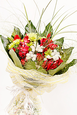 포토 JPG 해외이미지 디자인 꽃잎 꽃 분홍색 꽃다발 결혼 컨셉 잎 꽃무늬 자연 결혼식 휴가 국화 발렌타인데이 선물 사랑 사람없음 빨간색 초록색 뷰티 장미 낭만 벚꽃 흰색 난초 성자 다발 구슬 아로마 열정 제비 고립 엘리먼트 많음 해외포토 식물 감정 종교 컬러 무늬 데이이벤트 조류 이벤트 생태계 파일형식 이미지허브