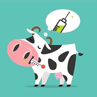 EPS 해외이미지 일러스트 주사기 사람없음 고통 소 젖소 감염 주사약 접종 가축전염병 해외일러스트 감정 포유류 의학 의료기기 약 전염병 파일형식 벡터 이미지허브
