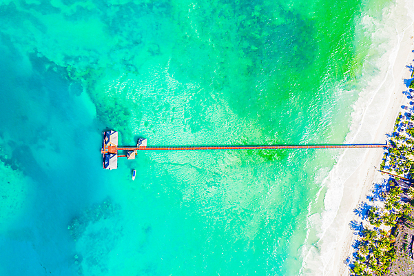 포토 JPG 해외이미지 주간 바다 사람없음 야외 하이앵글 야자수 나무다리 해외포토 자연요소 나무 뷰포인트 다리_건축물 파일형식 이미지허브