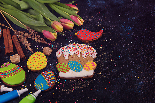 포토 JPG 해외이미지 꽃 잎 사람없음 장식 화려 부활절계란 새모양 시나몬 토끼모양 진저쿠키 스프링클 해외포토 모양 식물 컨셉 부활절 쿠키 계란 파일형식 이미지허브