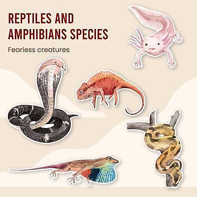 EPS 해외이미지 스티커 여러마리 일러스트 사람없음 나뭇가지 뱀 손그림 엘리먼트 우파루파 카멜레온 코브라 해외일러스트 나무 다수 파충류 수중동물 파일형식 벡터 이미지허브