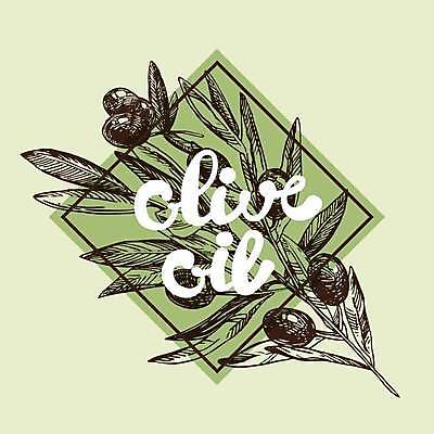 EPS 해외이미지 일러스트 사람없음 나뭇가지 스케치 그림 올리브 해외일러스트 나무 열매 미술 파일형식 벡터 이미지허브