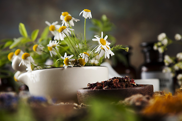 포토 JPG 해외이미지 식물 꽃 자연 사람없음 치료 뷰티 약 보라색 스파 침묵 목욕 화장품 회색 수확 마술사 허브 피부 유기농 복고 냄새 아로마 갈기 향 레시피 파운드 마법 아로마테라피 라벤더 놋쇠 막자 세기 옛날 해외포토 웰빙 컬러 돈 농업 의학 모션 신체부위 소리 청결 마술 생태계 테라피 파일형식 이미지허브