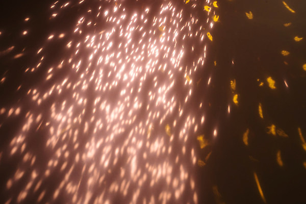 포토 JPG 해외이미지 디자인 벽 분홍색 백그라운드 크리스마스 패턴 일러스트 벽지 추상 휴가 발렌타인데이 사랑 이벤트 사람없음 장식 빛 노란색 파티 우주 검은색 축제 어둠 공연 축하 점 우아함 상품 소프트포커스 보케 부드러움 마법 광 효과 해외일러스트 기념일 감정 컬러 컨셉 무늬 데이이벤트 촬영기법 감각 파일형식 이미지허브