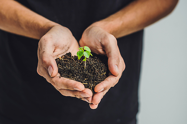 포토 JPG 해외이미지 손 백그라운드 잎 들기 신체부위 새싹 흙 해외포토 식물 모션 사람 파일형식 이미지허브