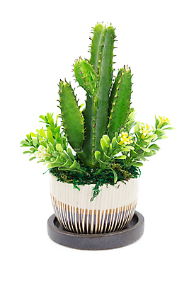 포토 JPG 해외이미지 식물 디자인 꽃잎 꽃 리본 분홍색 백그라운드 잎 꽃무늬 자연 유리 주택 선물 사람없음 내부 장식 초록색 여름 컬러풀 뷰티 정원 꽃병 활발 수확 벚꽃 흰색 신선 냄비 플라스틱 그림 복고 내추럴 인공 파스텔톤 스타일 해외포토 계절 컬러 컨셉 무늬 농업 재질 건물 솥 생태계 파일형식 이미지허브