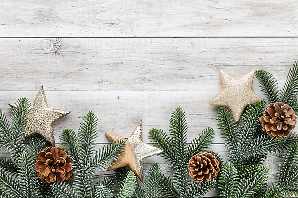 포토 JPG 해외이미지 별 잎 크리스마스 크리스마스용품 실내 사람없음 하이앵글 솔방울 별모형 카피스페이스 나무배경 해외포토 자연요소 식물 기념일 뷰포인트 백그라운드 내부 모형 공백 용품 파일형식 이미지허브