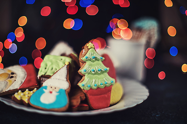 포토 JPG 해외이미지 크리스마스 실내 사람없음 아웃포커스 쿠키 보케 산타모양 크리스마스트리모양쿠키 해외포토 모양 기념일 디저트 촬영기법 내부 산타클로스 파일형식 이미지허브