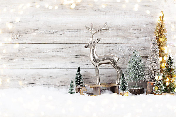 포토 JPG 해외이미지 나무 전통 디자인 계절 별 백그라운드 크리스마스 겨울 휴가 새로움 선물 사람없음 장식 빨간색 초록색 빛 상자 장난감 축제 침묵 시골 축하 인사 신용카드 연도 슛 해외포토 자연요소 식물 기념일 컬러 컨셉 금융 소리 예절 파일형식 이미지허브