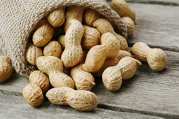 포토 JPG 해외이미지 실내 사람없음 삼베 땅콩 자루 쏟아짐 땅콩껍질 나무배경 해외포토 백그라운드 모션 내부 견과류 껍질 파일형식 천_직물 이미지허브