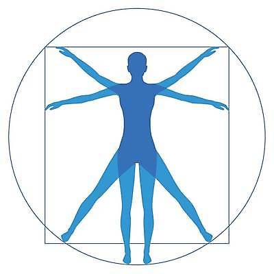 EPS 해외이미지 남자 과학 백그라운드 신체 일러스트 해부 건강 미술 서기 사람 파란색 약 원형 클래식 심볼 사인 그림 생물학 정사각형 고립 르네상스 해외일러스트 도형 교육 컬러 컨셉 의학 모션 문화예술 파일형식 벡터 이미지허브