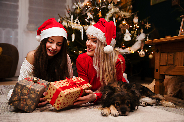 포토 JPG 해외이미지 딸 행복 크리스마스 가족 엄마 협력 바닥 기념 갈색머리 함께함 선물 사랑 미소 웃음 근접촬영 두명 반려동물 금발 크리스마스트리 카펫 기쁨 축하 최고 개 보케 패키지 폴란드 거짓말 구성 이해 해외포토 동물 헤어스타일 기념일 감정 유럽 뷰포인트 컨셉 포유류 관계 표정 사람 파일형식 이미지허브