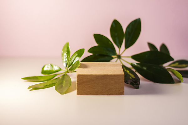 포토 JPG 해외이미지 식물 손 디자인 배너 꽃 얼굴 백그라운드 컨셉 잎 유리 건강 사람없음 치료 뷰티 환경 스파 화장품 손상 물방울 잡기 투명 액체 수리 상품 숲 컨테이너 캐비닛 유기농 레이아웃 분무기 로션 스킨케어 아로마테라피 테라피 내추럴 돌봄 보습 수분크림 양치류 캐모마일 그리너리 해외포토 웰빙 산업 의학 모션 재질 신체부위 사물함 허브 파일형식 트랜드컬러 이미지허브