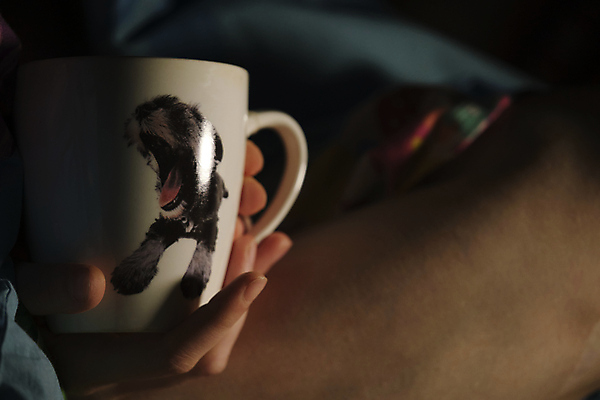 포토 JPG 해외이미지 손 티타임 실내 따뜻함 들기 신체부위 머그컵 해외포토 모션 휴식 사람 내부 컵 파일형식 이미지허브