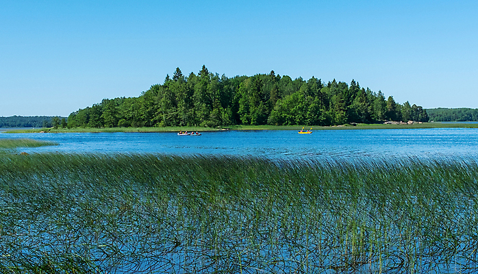 포토 JPG 해외이미지 주간 식물 섬 핀란드 사람없음 야외 발트해 해외포토 자연요소 바다 북유럽 파일형식 이미지허브