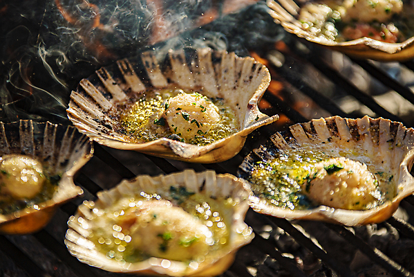 포토 JPG 해외이미지 조개 실내 근접촬영 사람없음 아웃포커스 연기 그릴 소프트포커스 굽기 가리비 조개구이 가리비구이 해외포토 뷰포인트 주방용품 어패류 촬영기법 내부 구이 파일형식 이미지허브