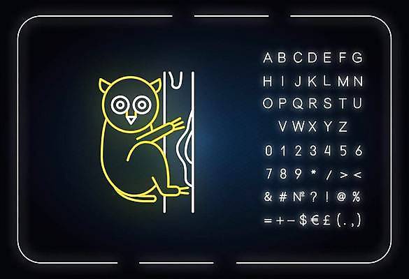 EPS 해외이미지 나무 알파벳 선 백그라운드 일러스트 매달리기 타이포그라피 사람없음 화려 심볼 네온 형광등 안경원숭이 해외일러스트 식물 문자 영어 컨셉 모션 전등 원숭이 파일형식 벡터 이미지허브