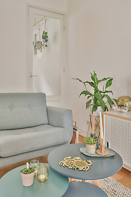 포토 JPG 해외이미지 화분 실내 사람없음 인테리어 소파 문 컵받침 심플 원형탁자 플랜테리어 행잉플랜트 해외포토 디자인 의자 탁자 내부 받침대 파일형식 이미지허브