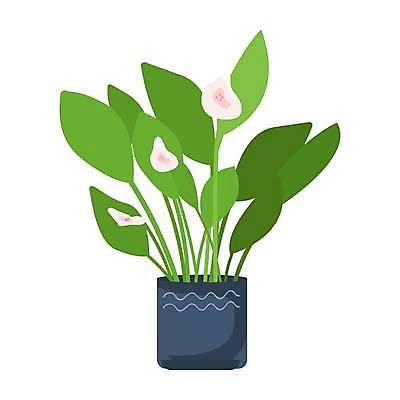 EPS 해외이미지 꽃 화분 줄기 잎 일러스트 사람없음 원예 반려식물 해외일러스트 식물 취미 파일형식 벡터 이미지허브