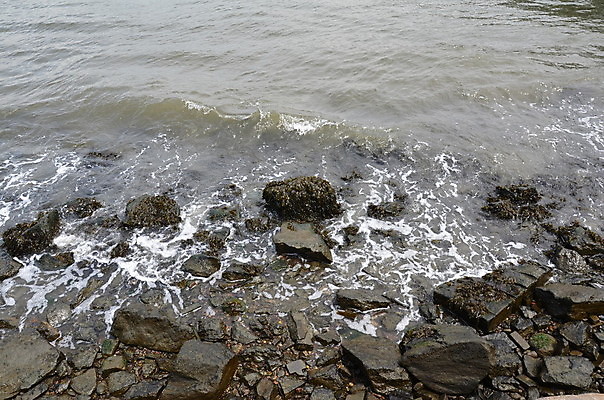 포토 JPG 해외이미지 호수 파도 자연 사람없음 야외 물 강 흐름 연못 해조류 암초 해외포토 자연요소 바다 컨셉 해양식물 생태계 파일형식 이미지허브