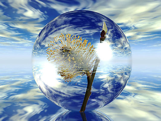 포토 JPG 해외이미지 식물 디자인 꽃 일러스트 사람없음 초록색 빛 컬러풀 거품 투명 내추럴 생태학 해외일러스트 교육 컬러 파일형식 이미지허브