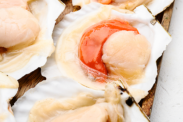 포토 JPG 해외이미지 조개 실내 근접촬영 사람없음 신선 날것 가리비 관자 조갯살 해외포토 뷰포인트 어패류 내부 파일형식 이미지허브