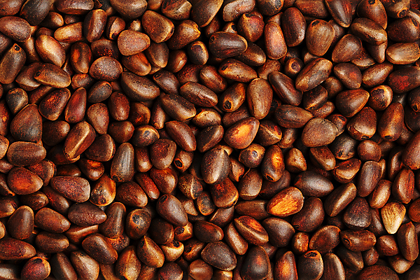 포토 JPG 해외이미지 근접촬영 사람없음 갈색 견과류 가득함 잣 많음 해외포토 뷰포인트 컬러 컨셉 파일형식 이미지허브