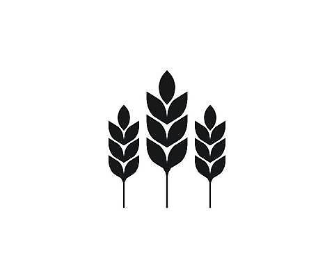 EPS 해외이미지 식물 디자인 음식 빵 줄기 백그라운드 농업 일러스트 자연 밥 건강 옥수수 씨앗 그래픽 농작물 농장 수확 성장 벨트 흰색 시골 낟알 시리얼 밀 먹기 심볼 사인 유기농 보리 귀 테이프 섬유 밀짚 내추럴 무료 숙성 엘리먼트 호밀 귀리 해외일러스트 웰빙 잡화 산업 컬러 모션 문구용품 곡류 신체부위 직물 짚 생태계 파일형식 벡터 이미지허브