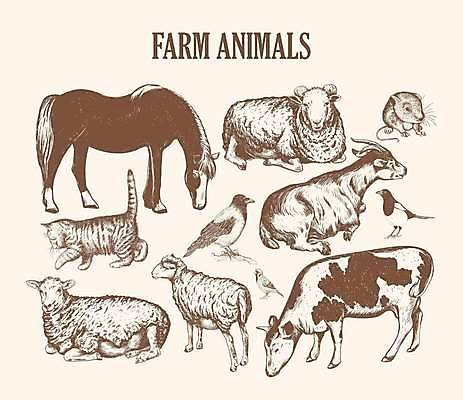 EPS 해외이미지 동물 캐릭터 디자인 실루엣 야생동물 농업 일러스트 포유류 자연 조류 염소 육류 미술 서기 그래픽 세트 농장 검은색 고양이 가축 소고기 수확 흰색 양 소 낙서 쥐 스케치 수집 심볼 그림 복고 참새 손그림 까마귀 고립 밭일 핸드메이드 스타일 해외일러스트 일러캐릭터 산업 컬러 식재료 모션 문화예술 촬영기법 반려동물 설치류 생태계 파일형식 벡터 이미지허브