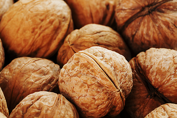 포토 JPG 해외이미지 근접촬영 사람없음 갈색 견과류 가득함 호두 많음 해외포토 뷰포인트 컬러 컨셉 파일형식 이미지허브