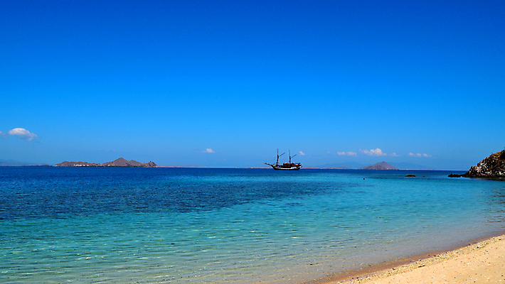 포토 JPG 해외이미지 동물 공원 아시아 야생동물 모래 바다 섬 여행 백그라운드 파충류 자연 하늘 휴가 휴식 풍경 사람없음 야외 초록색 물 여름 파란색 태양 맑음 용 만 생태계 도마뱀 인도네시아 전국 파라다이스 해외포토 자연요소 계절 공공시설 나라 컬러 컨셉 날씨 파일형식 이미지허브