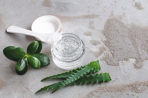 포토 JPG 해외이미지 라이프스타일 백그라운드 잎 자연 사람없음 가로 초록색 물 약 스파 화장품 거품 펼침 촉촉함 신선 투명 액체 실험실 떨어짐 약초 상품 수분 허브 크림 분석 질감 부드러움 젤리 스킨케어 아로마테라피 비타민 돌봄 수분크림 신맛 약사 플랫레이 해외포토 자연요소 식물 컬러 컨셉 의학 모션 디저트 실험 생활 뷰티 젖음 풀_식물 감각 플랫 맛 생태계 테라피 영양소 파일형식 이미지허브