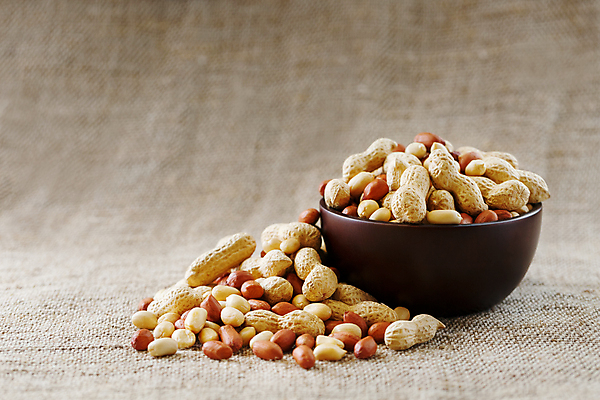 포토 JPG 해외이미지 그릇 실내 사람없음 담기 땅콩 땅콩껍질 갈색배경 해외포토 식기 백그라운드 모션 내부 갈색 견과류 껍질 파일형식 이미지허브