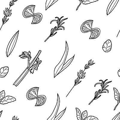 EPS 해외이미지 잎 패턴 라인일러스트 일러스트 사람없음 낙서 레몬 허브 해외일러스트 식물 무늬 과일 파일형식 벡터이미지허브 