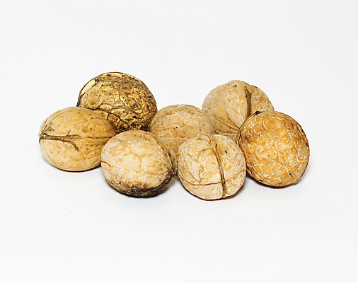 포토 JPG 해외이미지 음식 백그라운드 과일 재료 자연 건조 건강 사람없음 갈색 견과류 흰색 가득함 오브젝트 유기농 슛 호두 고립 꼬투리 해외포토 웰빙 컬러 생태계 파일형식 이미지허브