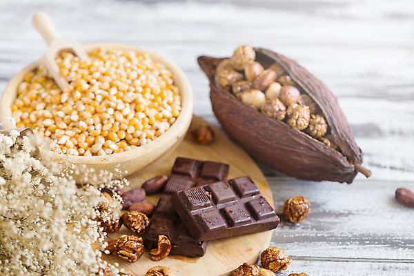 포토 JPG 해외이미지 계절 음식 다이어트 채소 재료 건조 옥수수 씨앗 이벤트 사람없음 목재 소풍 노란색 우주 초콜릿 에너지 견과류 수확 사발 달콤 맛 폐기물 낟알 영화관 먹기 오브젝트 국자 유기농 복고 알맹이 팝콘 아몬드 솜털 내추럴 절임 짠맛 채식주의자 맛있는 해외포토 나무 식물 웰빙 컬러 컨셉 농업 모션 주방용품 디저트 곡류 건강 야외활동 사기그릇 쓰레기 극장 채식 파일형식 이미지허브