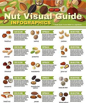 나무 식물 열매 음료 컬러 무늬 과일 곡류 건강 견과류 남아메리카 생태계 영양소 채식주의자 파일형식 벡터 일러스트 EPS 해외이미지 캐슈넛 피칸 아몬드 브라질 땅콩 개암 피스타치오 호두 코코아 코코넛 음식 콩 소나무 그룹 다이어트 단백질 비건 씨앗 검은색 자연 도토리 꼬투리 밤 비즈니스 세트 추상 인포그래픽 발표 보고서 페이지 문서 템플릿 레이아웃 디자인 심볼 사인 수집 백그라운드 통신 정보 해외일러스트 이미지허브