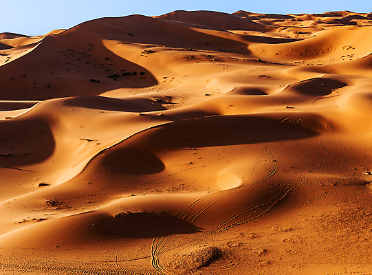 포토 JPG 해외이미지 모래 사람없음 사막 모로코 사하라 해외포토 아프리카 파일형식 이미지허브