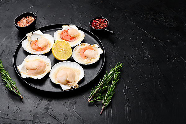 포토 JPG 해외이미지 접시 검은배경 조개 실내 사람없음 신선 날것 가리비 해외포토 식기 백그라운드 어패류 내부 검은색 파일형식 이미지허브